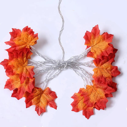 alishop:224d2351ef44